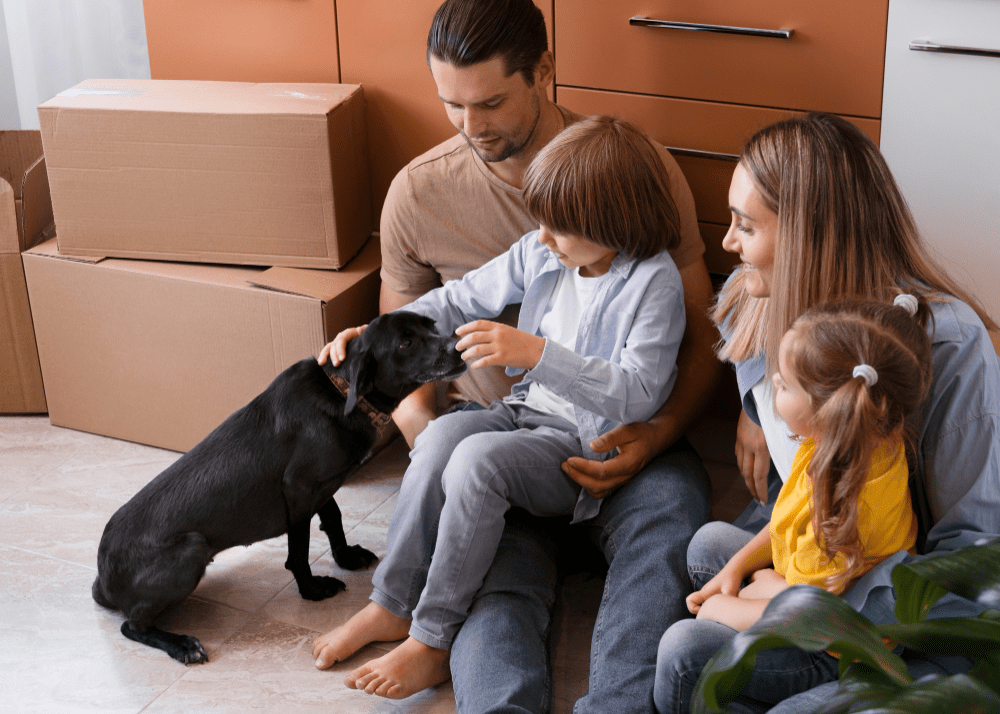 Moving with Pets in Vero Beach